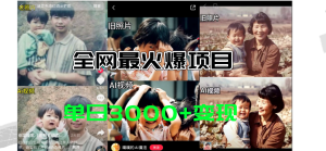 (11546期)全网爆火的AI让老照片动起来教程,蹭热点日赚3000+,内含免费工具一键…-聊项目
