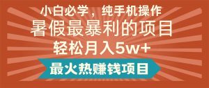(11583期)小白必学,纯手机操作,暑假最暴利的项目轻松月入5w+最火热赚钱项目-聊项目