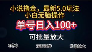 (11651期)全自动小说撸金,单号日入100+小白轻松上手,无脑操作-聊项目