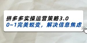 (11658期)2024_2025拼多多实操运营策略3.0,0~1完美蜕变,解决信息焦虑(38节)-聊项目