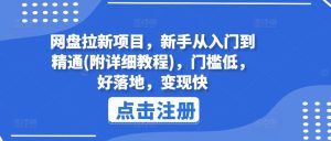 网盘拉新项目,新手从入门到精通(附详细教程),门槛低,好落地,变现快-聊项目