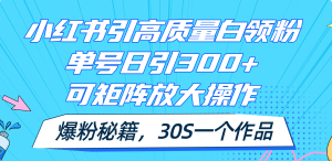 (11692期)小红书引高质量白领粉,单号日引300+,可放大操作,爆粉秘籍!30s一个作品-聊项目