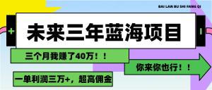 (11716期)未来三年,蓝海赛道,月入3万+-聊项目