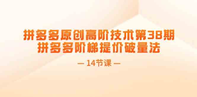 拼多多原创高阶技术第38期，拼多多阶梯提价破量法（14节课）-聊项目