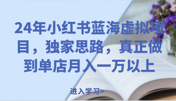 24年小红书蓝海虚拟项目，独家思路，真正做到单店月入一万以上。-聊项目