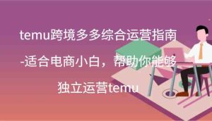 temu跨境多多综合运营指南-适合电商小白,帮助你能够独立运营temu(44节)-聊项目