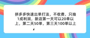 (11681期)拼多多2天起店,只合作不卖课不收费,上架产品无偿对接,只需要你回…-聊项目