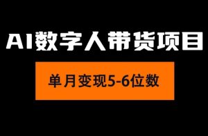 (11751期)2024年Ai数字人带货,小白就可以轻松上手,真正实现月入过万的项目-聊项目