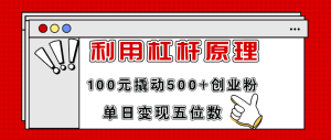 (11859期)利用杠杆100元撬动500+创业粉,单日变现5位数-聊项目