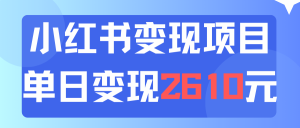 (11885期)利用小红书卖资料单日引流150人当日变现2610元小白可实操(教程+资料)-聊项目