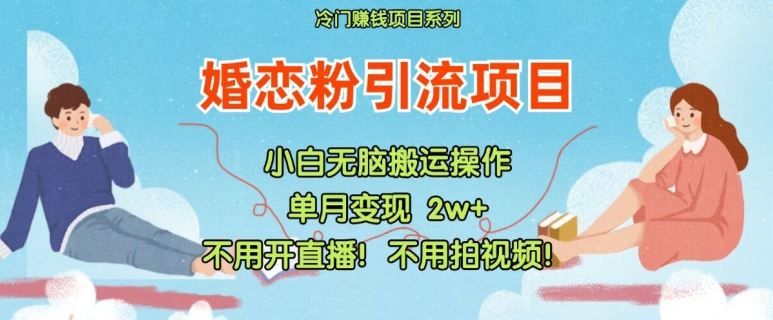 小红书婚恋粉引流，不用开直播，不用拍视频，不用做交付【揭秘】-聊项目