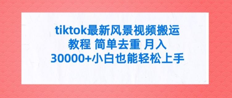 tiktok最新风景视频搬运教程 简单去重 月入3W+小白也能轻松上手【揭秘】-聊项目