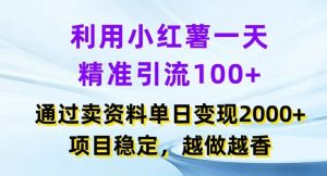 利用小红书一天精准引流100+,通过卖项目单日变现2k+,项目稳定,越做越香【揭秘】-聊项目