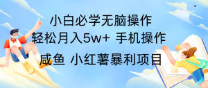 全网首发2024最暴利手机操作项目,简单无脑操作,每单利润最少500+-聊项目
