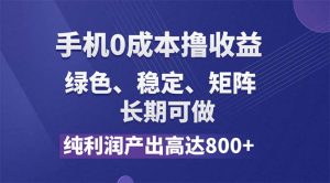 (11976期)纯利润高达800+,手机0成本撸羊毛,项目纯绿色,可稳定长期操作!-聊项目