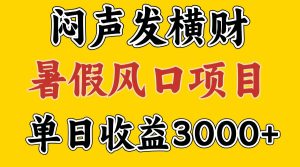 30天赚了7.5W 暑假风口项目,比较好学,2天左右上手-聊项目