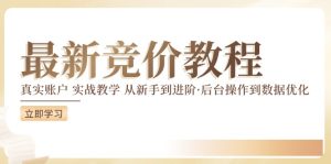(12012期)竞价教程:真实账户 实战教学 从新手到进阶·后台操作到数据优化-聊项目