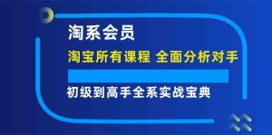 淘系会员初级到高手全系实战宝典【淘宝所有课程,全面分析对手】-聊项目