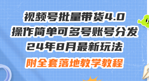 (12093期)24年8月最新玩法视频号批量带货4.0,操作简单可多号账号分发,附全套落…-聊项目