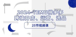 (12106期)2024-TEMU拼多多·跨境开店、运营、选品(25节视频课)-聊项目