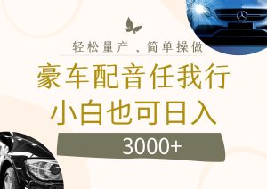 (12206期)不为人知的暴力小项目,豪车配音,日入3000+-聊项目
