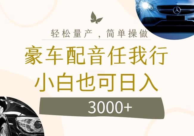 不为人知的暴力小项目，豪车配音，日入几张【揭秘】-聊项目