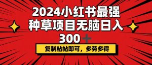 (12336期)2024小红书最强种草项目,无脑日入300+,复制粘帖即可,多劳多得-聊项目