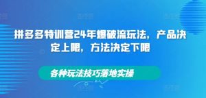 拼多多特训营24年爆破流玩法，产品决定上限，方法决定下限，各种玩法技巧落地实操-聊项目